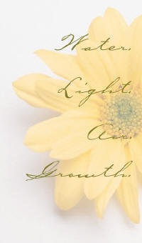 central oregon landscape designers, landscape design, landscape architecture